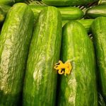 solenie-ogorkow-na-salatke-z-wyprzedzeniem-zapomniany-sekret-idealnej-chrupkosci.jpg